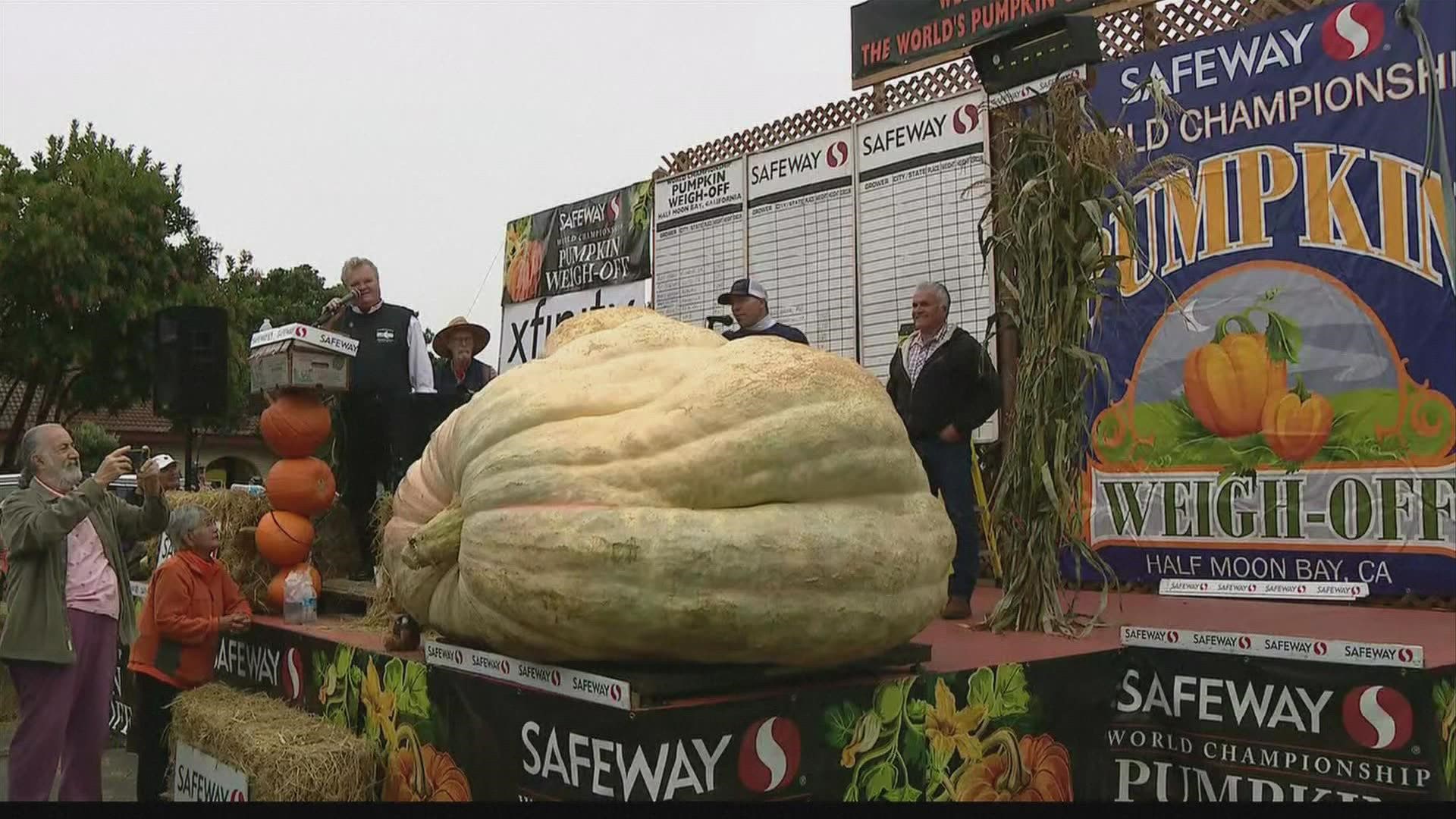 A horticulture teacher from Minnesota set a new US record Monday for the heaviest pumpkin after raising a giant gourd weighing 2,560 pounds.