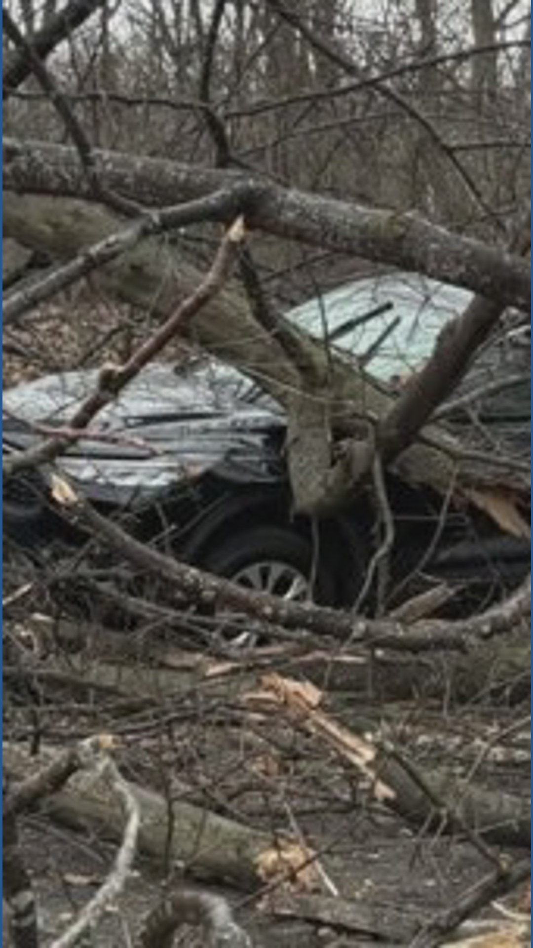 Thousands still without power after strong winds hit Northeast Ohio ...