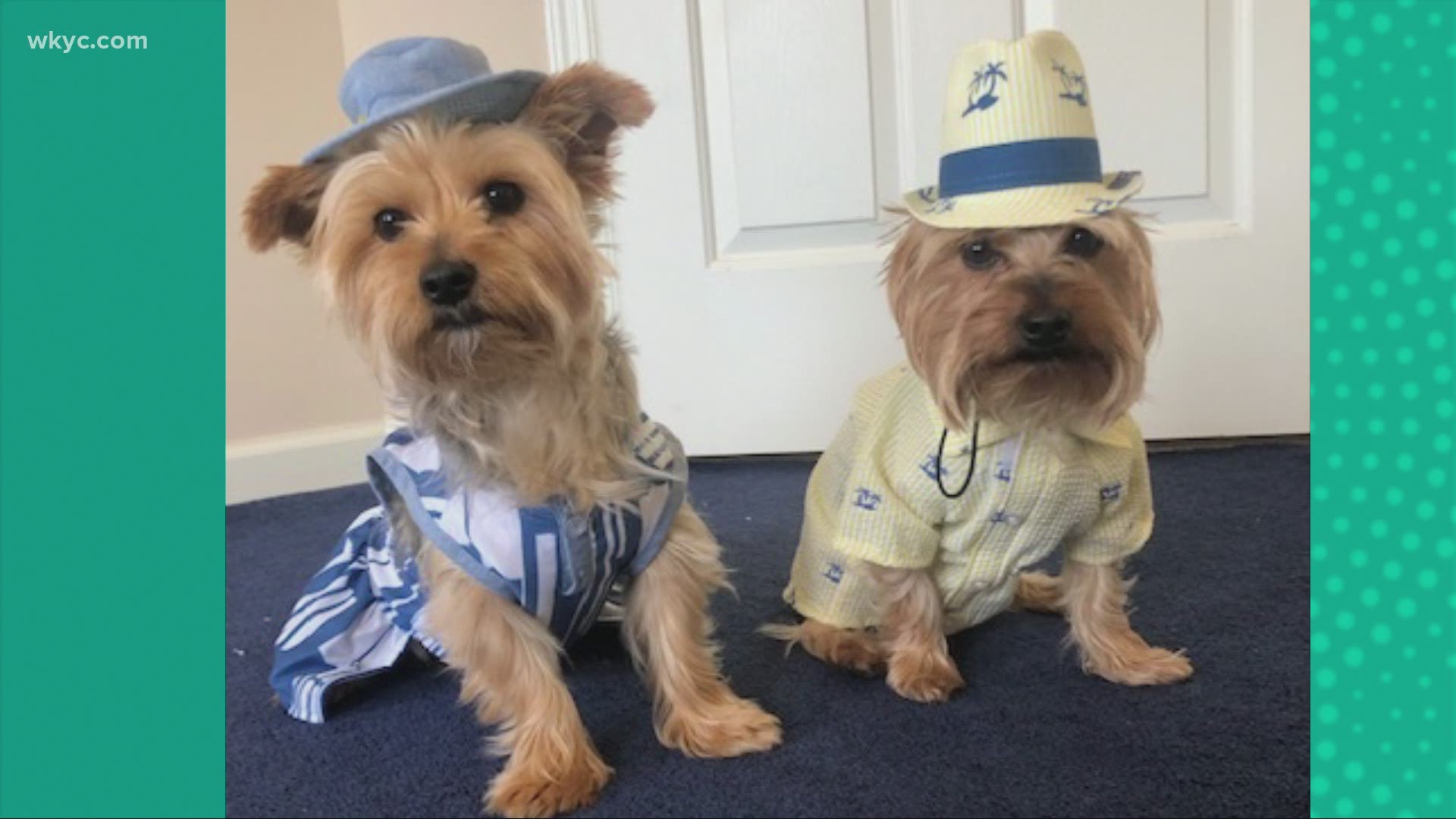 Doggone Weather: Brandy & Tito.