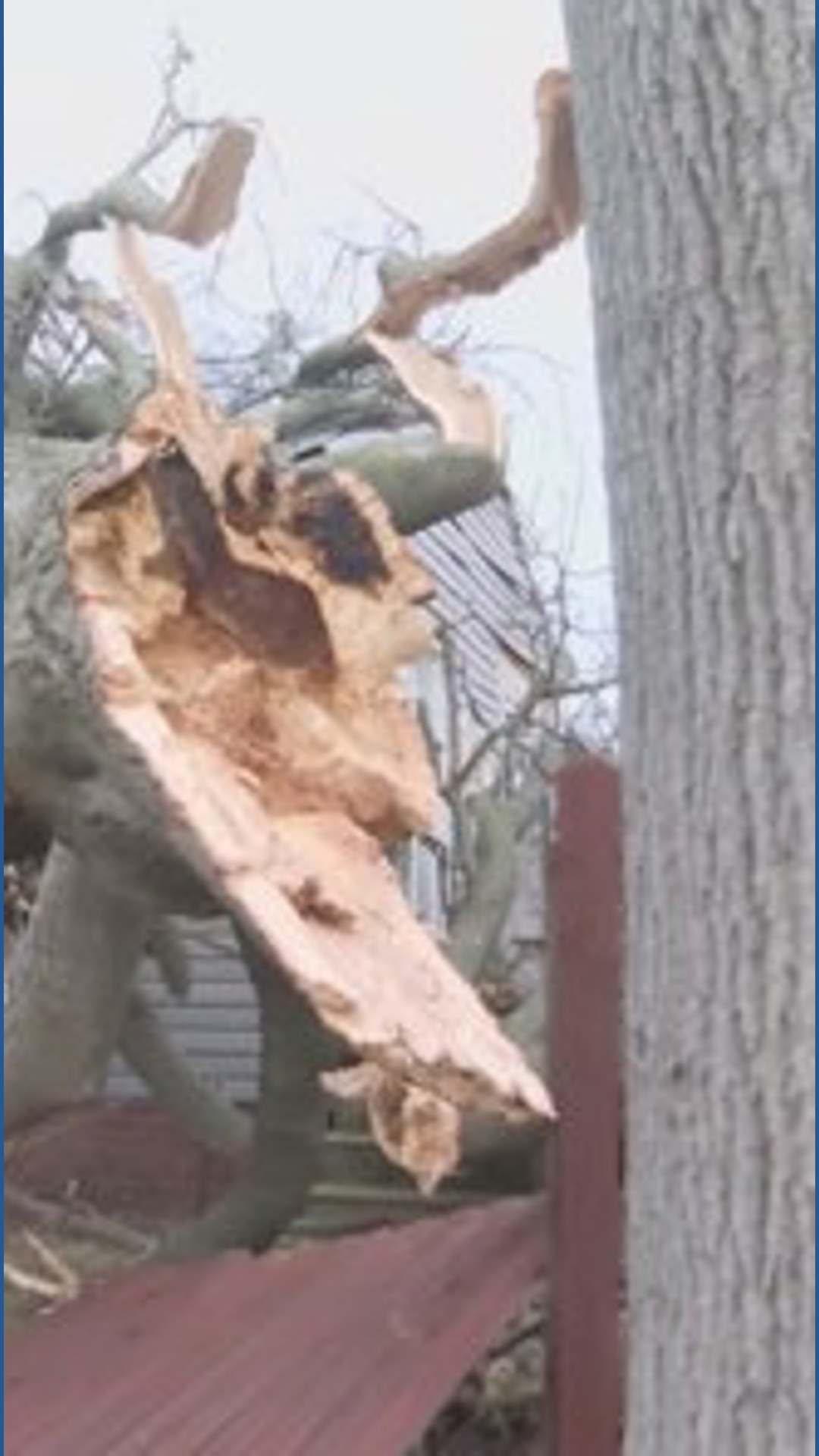 Thousands still without power: Aftermath of strong winds in Northeast ...