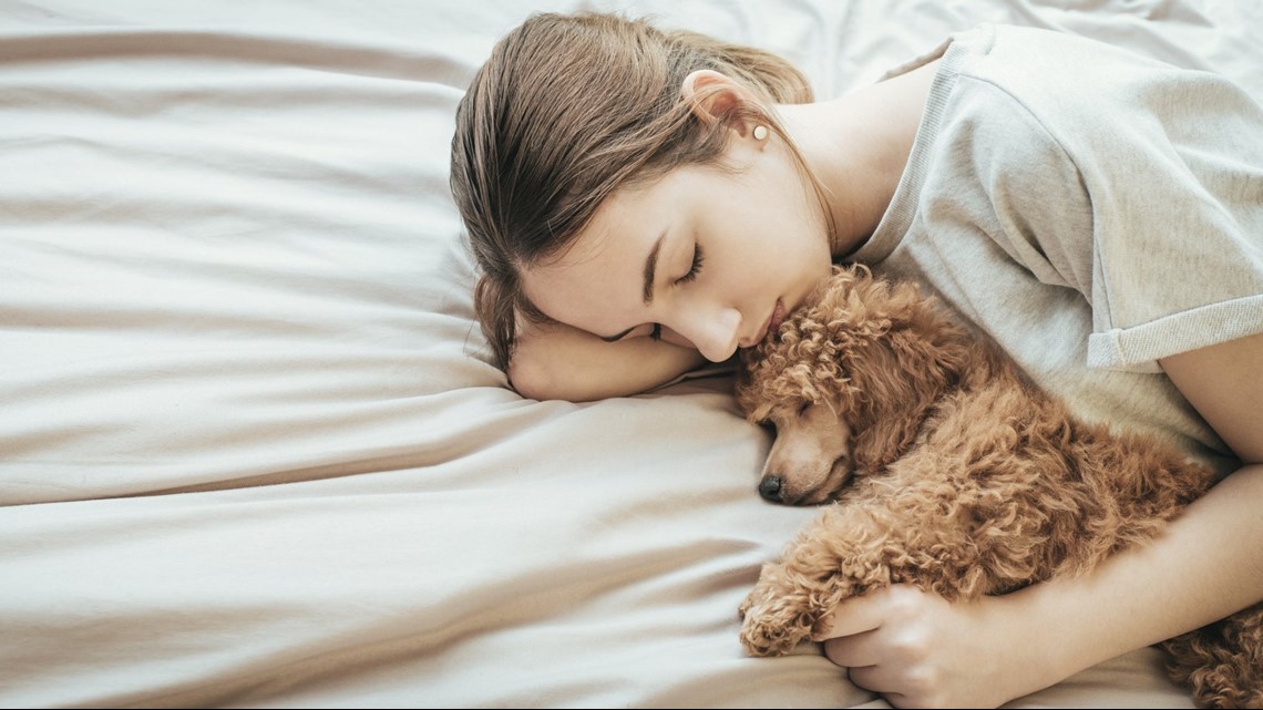 Study Women get better sleep with a dog on the bed