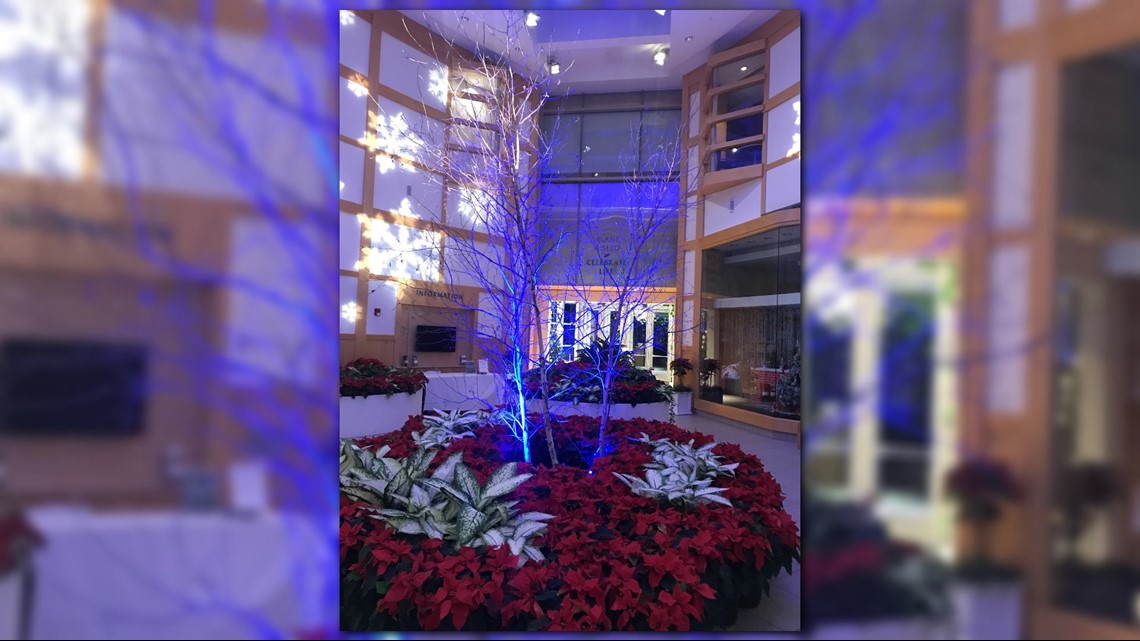 Cleveland Botanical Gardens Glow 2018 Fasci Garden