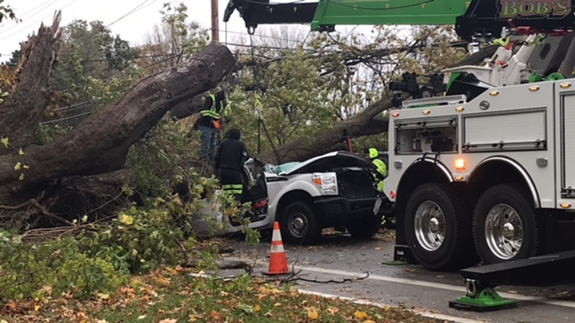 Man Dies After Tree Falls On Truck In Mentor | Wkyc.com