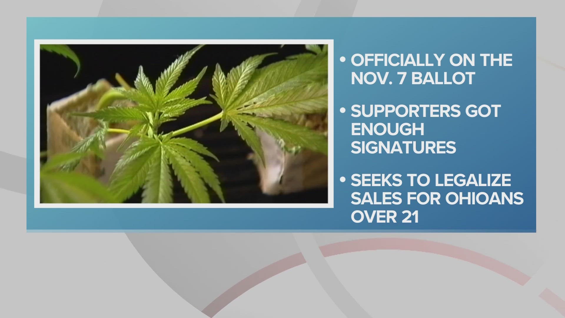 Marijuana Legalization Question Will Be On Ohio's Fall Ballot After ...