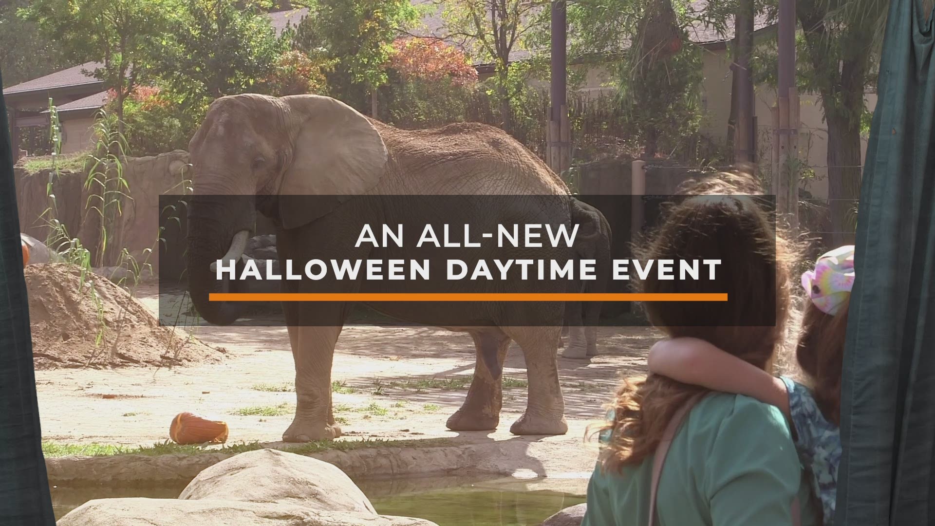 Trick or Treat Fest coming to Cleveland Metroparks Zoo