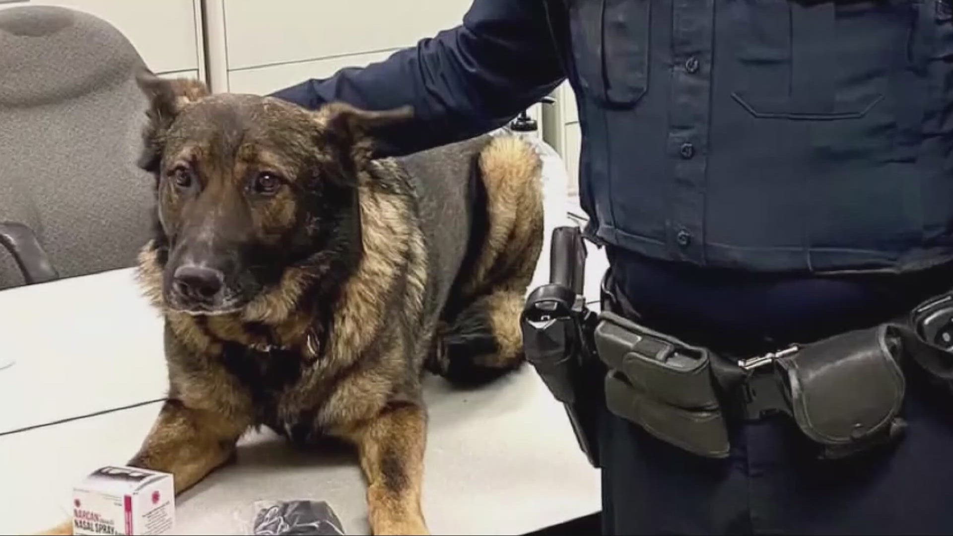 Outgoing officer Ryan Kaetzel was seeking to keep K-9 Bosco after they worked together for five years, but was initially denied amid a lawsuit that he filed.