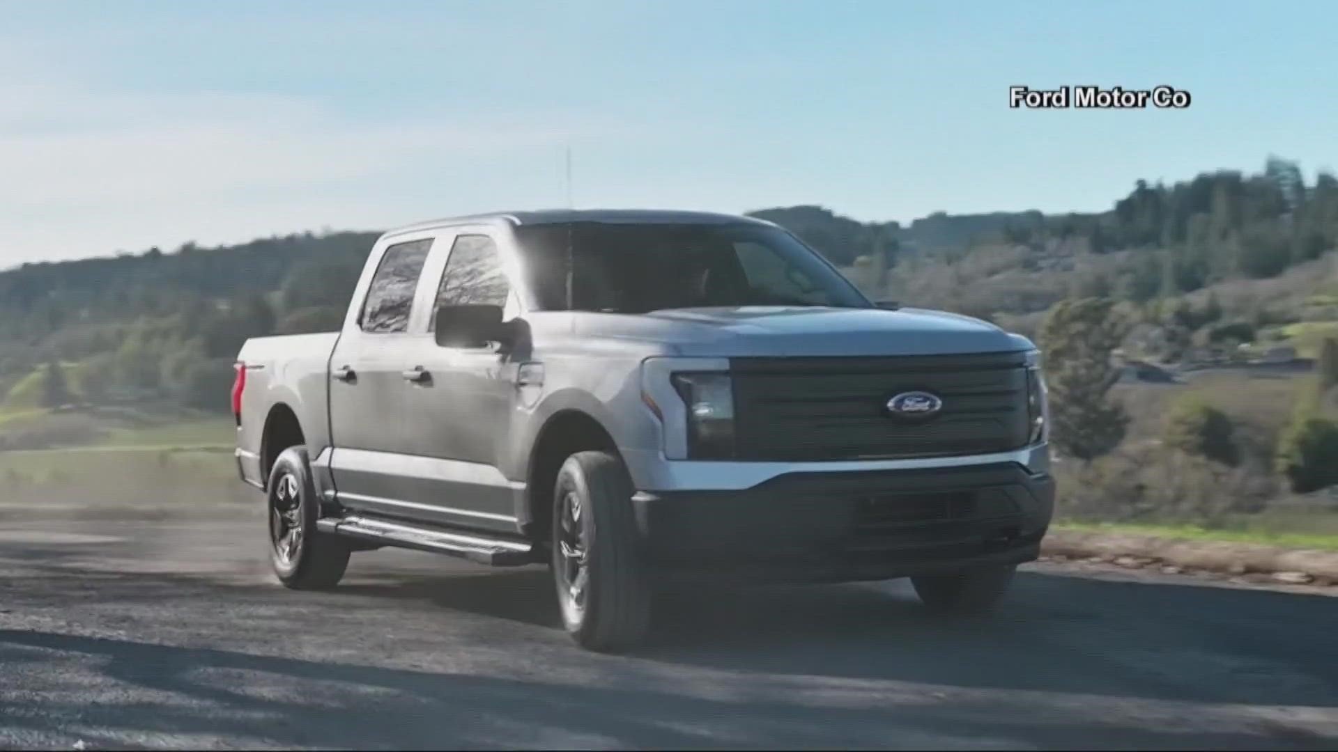The EV maker said it would temporarily stop production and deliveries of its Endurance pickup truck due to performance and quality issues with some components.