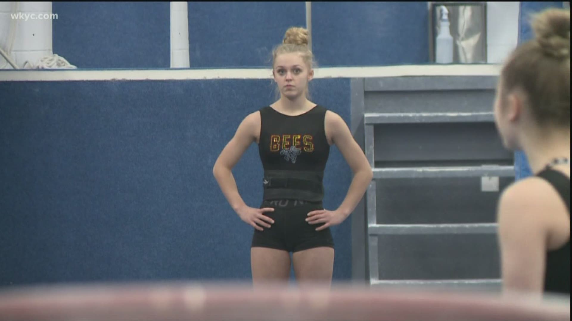 Go Bees! The Brecksville Broadview Heights gymnastics team will compete for a state title -- the school's 20th state championship.