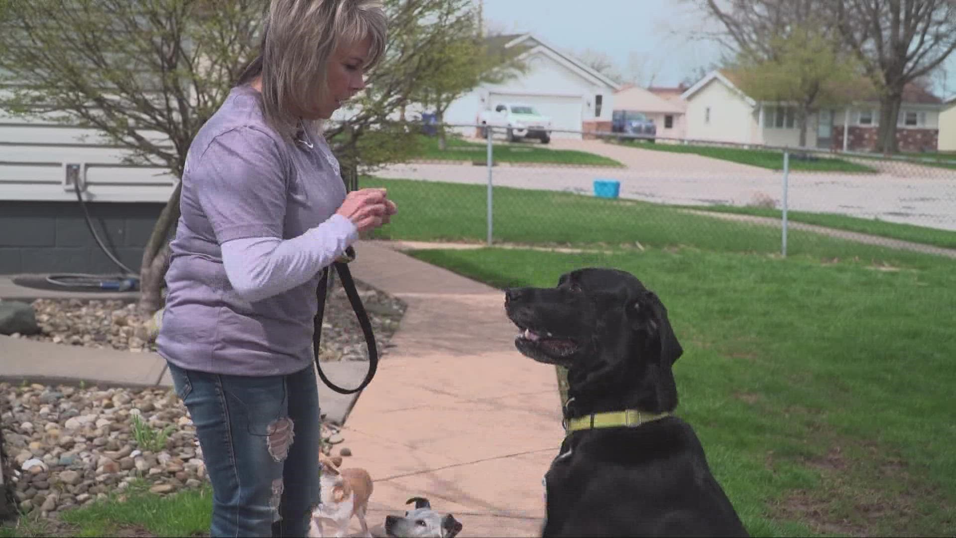 Non-profit Remi's Pet Recovery goes into action when runaway dogs don't come home.