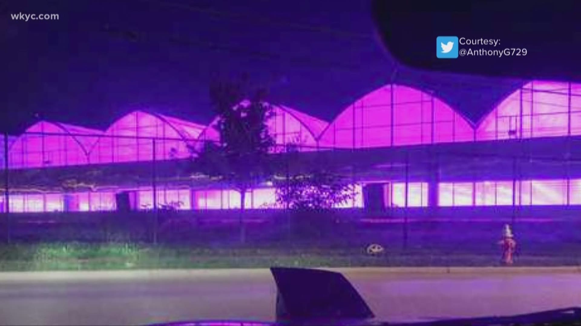 Purple rain in the skies over Cleveland? The truth behind the purple lights over the city