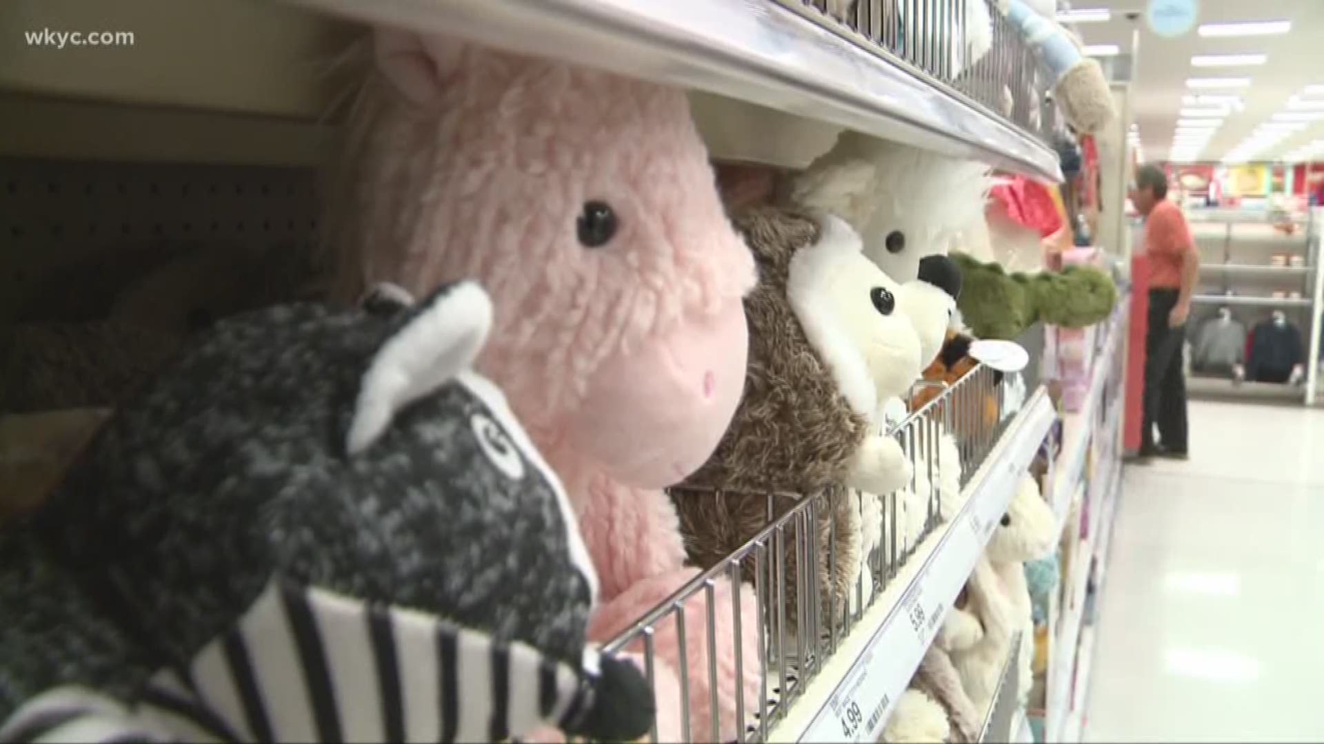 $17,000 shopping spree held to benefit patients at Akron Children's Hospital