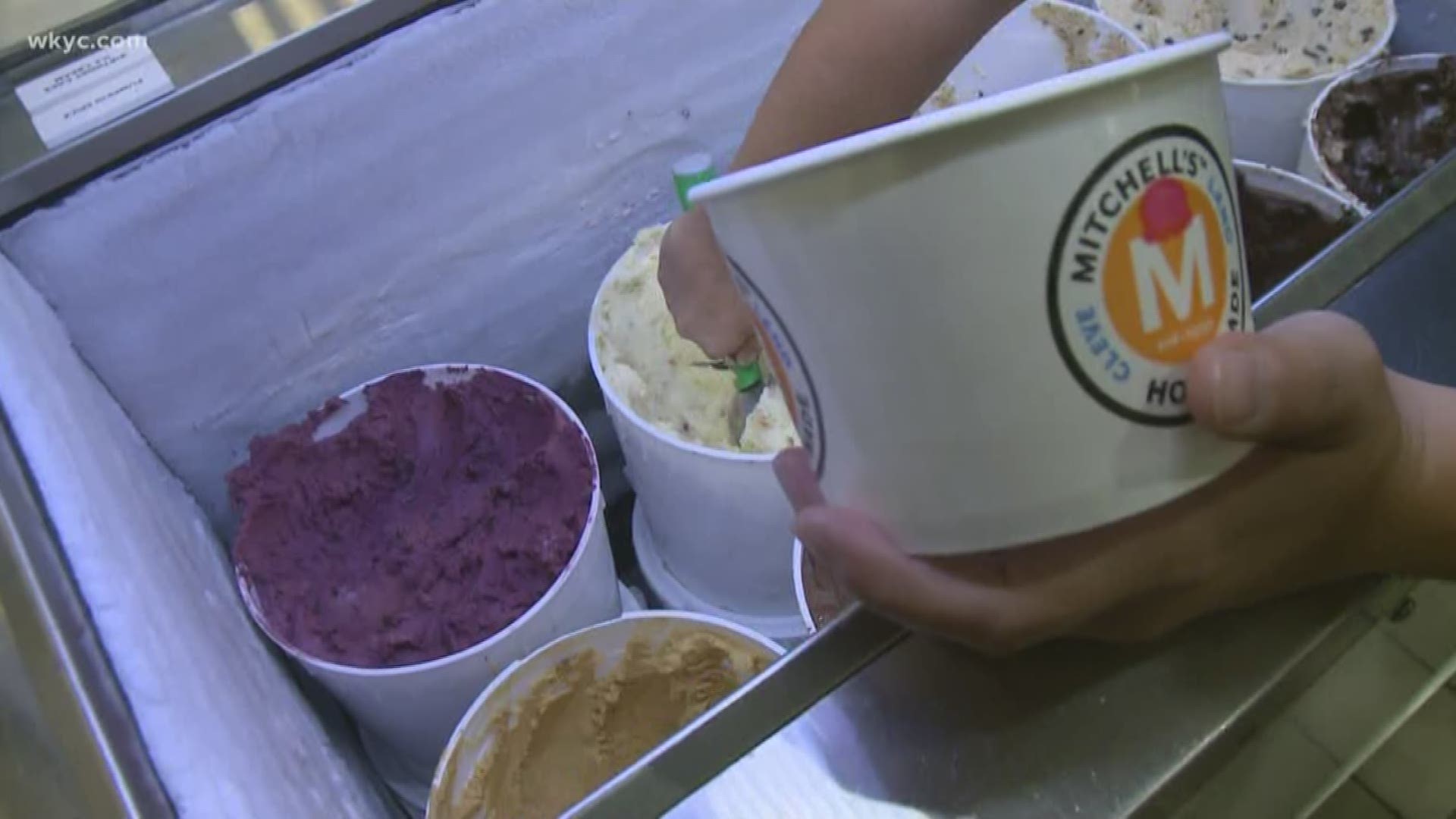 Mitchell's Ice Cream Celebrates 20 Years