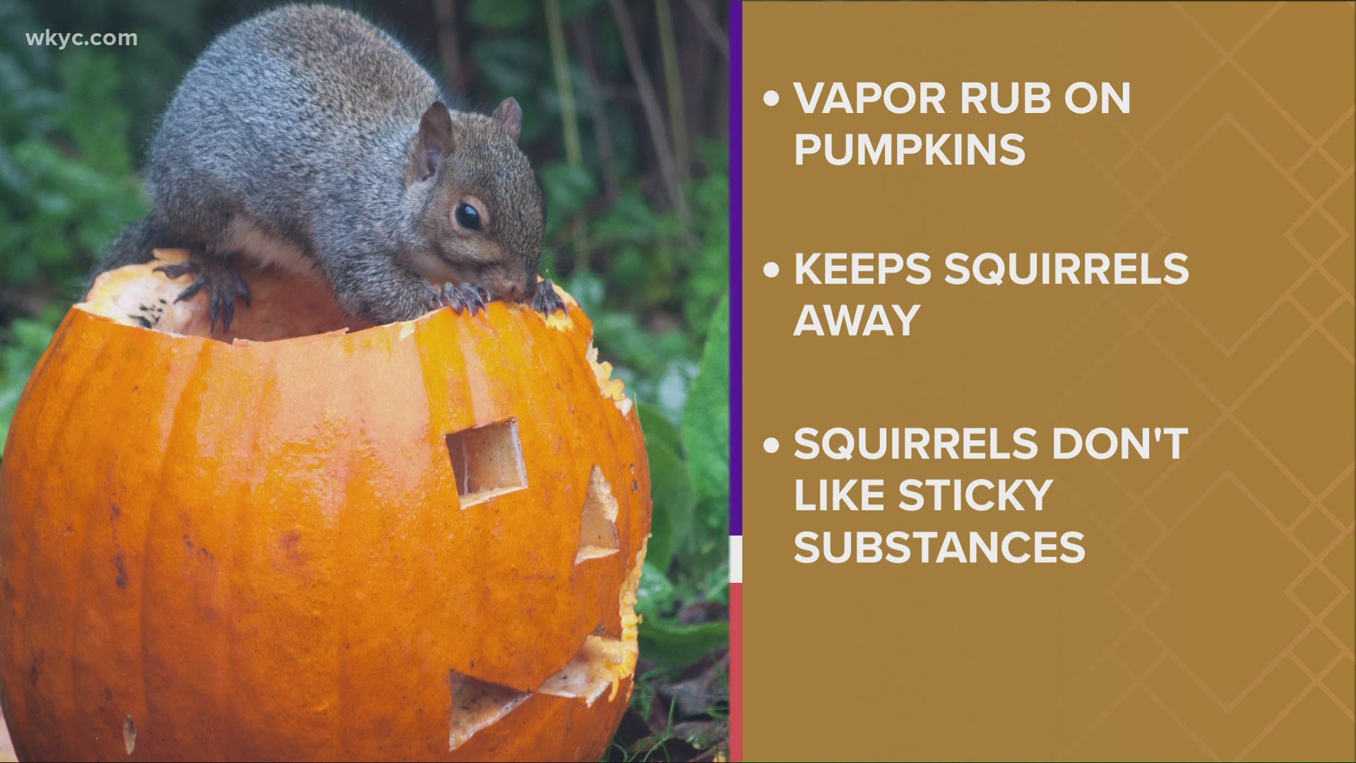 Cleveland S Leading Local News Weather Traffic Sports And More Cleveland Oh Wkyc Com Wkyc Com