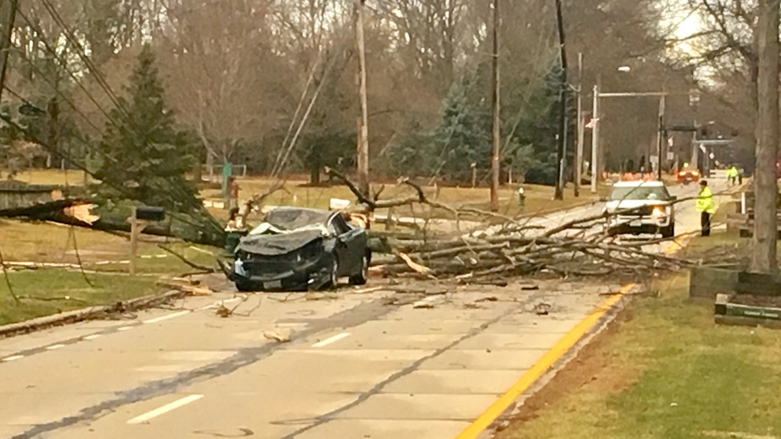 Tree falls on woman's car amid high winds in Westlake | wkyc.com