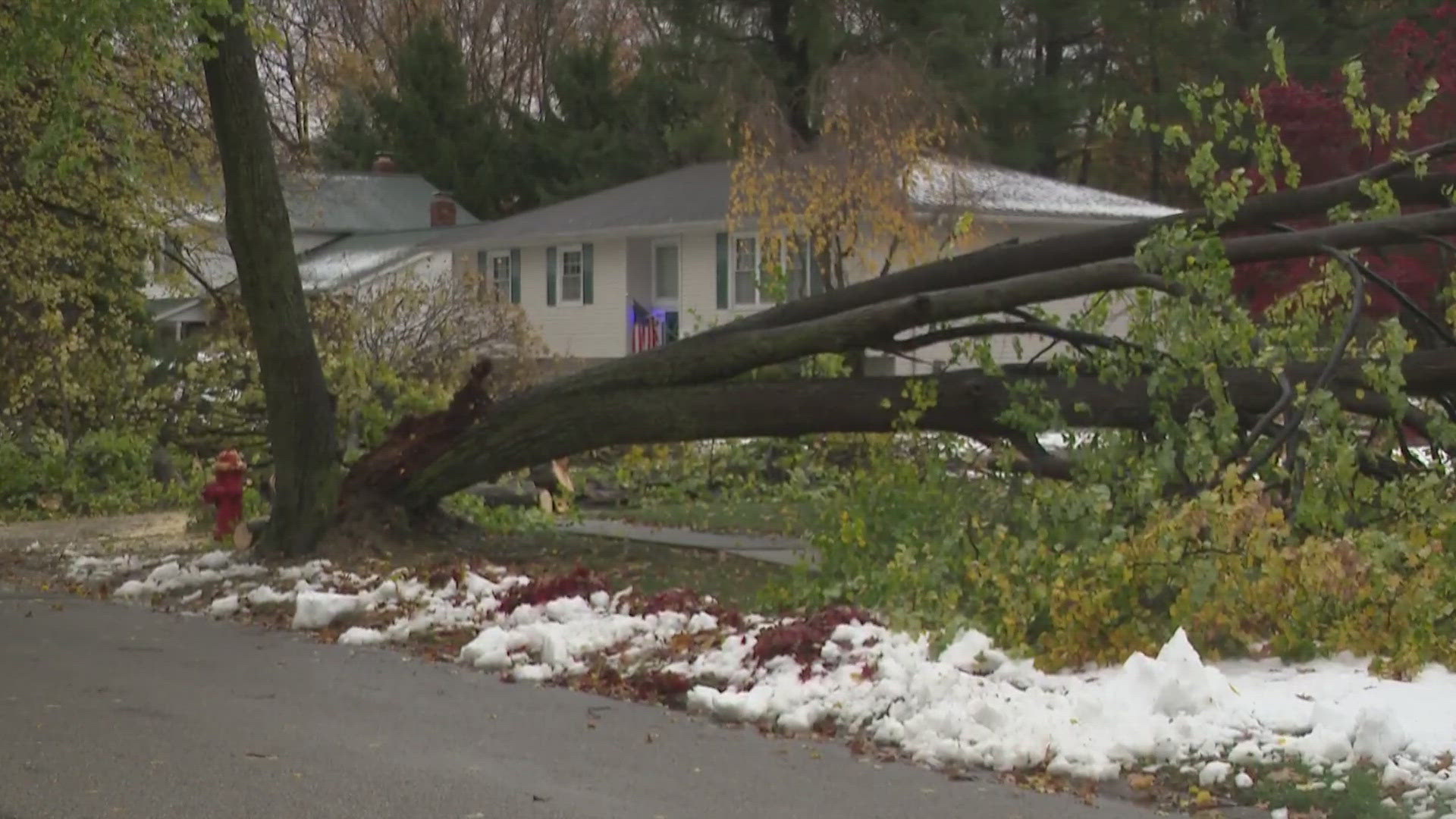 Rain and wind were the headlines today in Northeast Ohio.