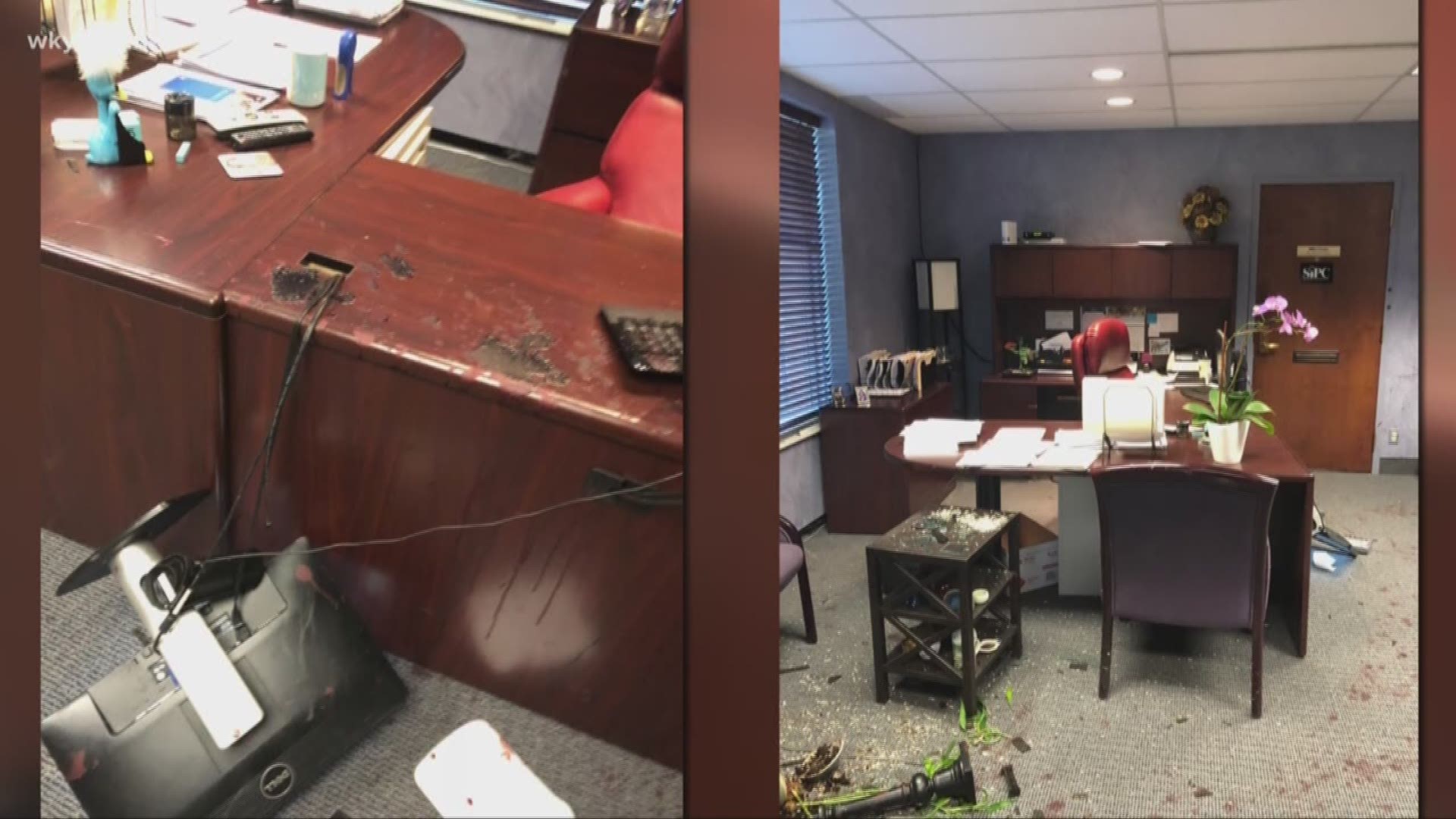 A deer crashes through window of local office