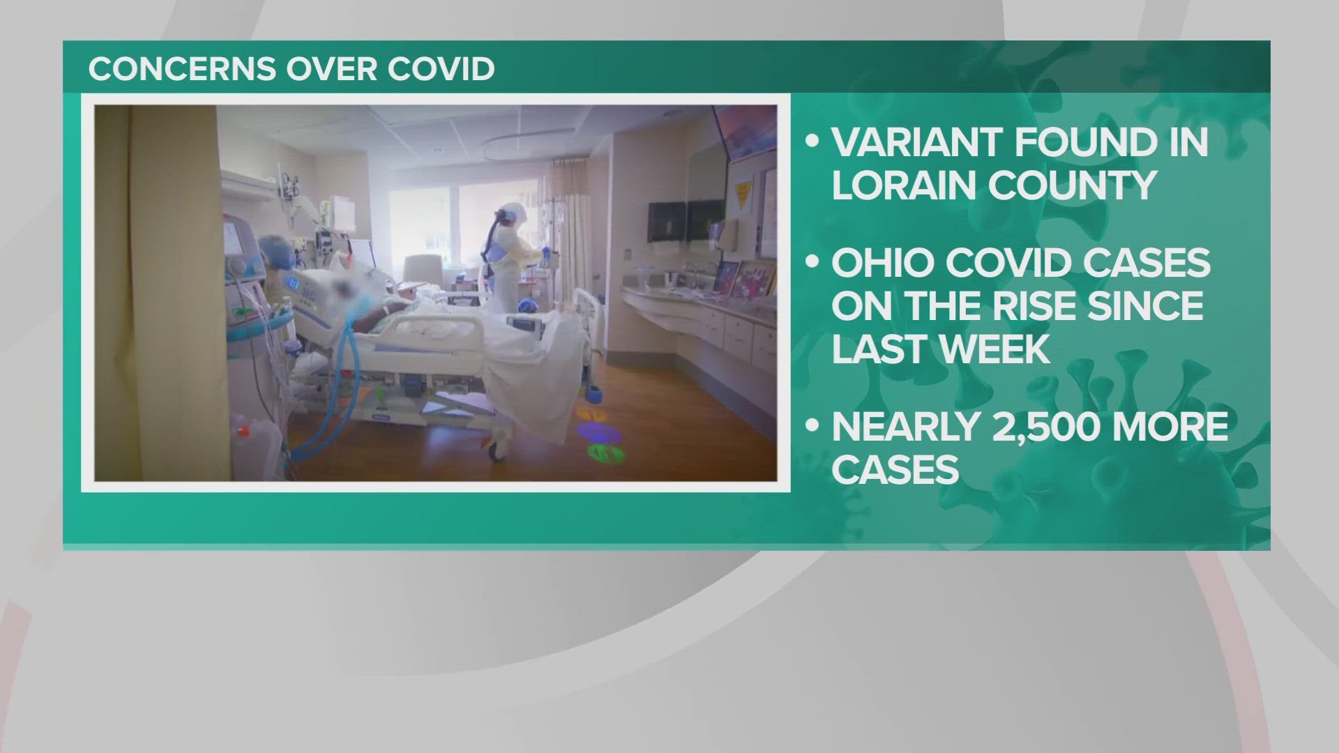 The case in Lorain County is only the third human case caused by BA.2.86 confirmed in the United States.