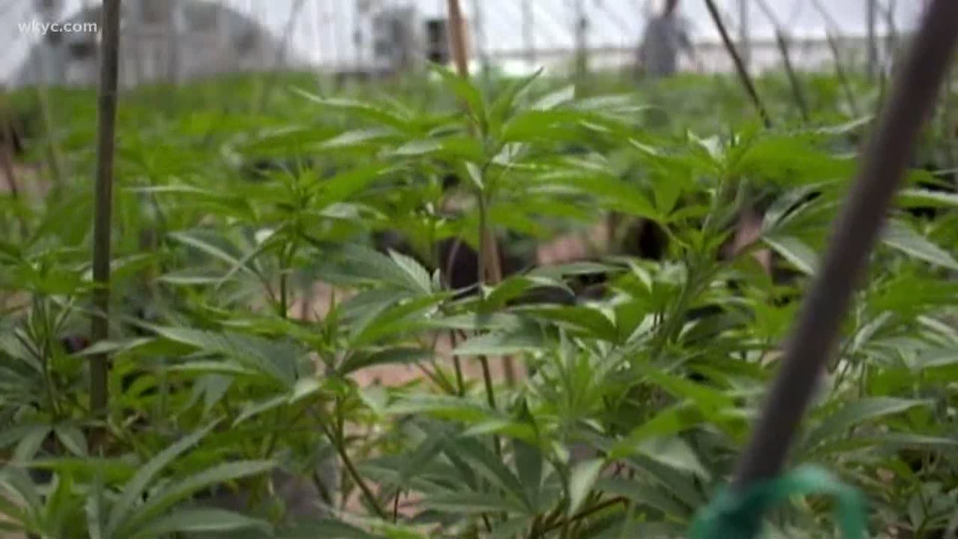 Ohio to consider more conditions treated with medical pot