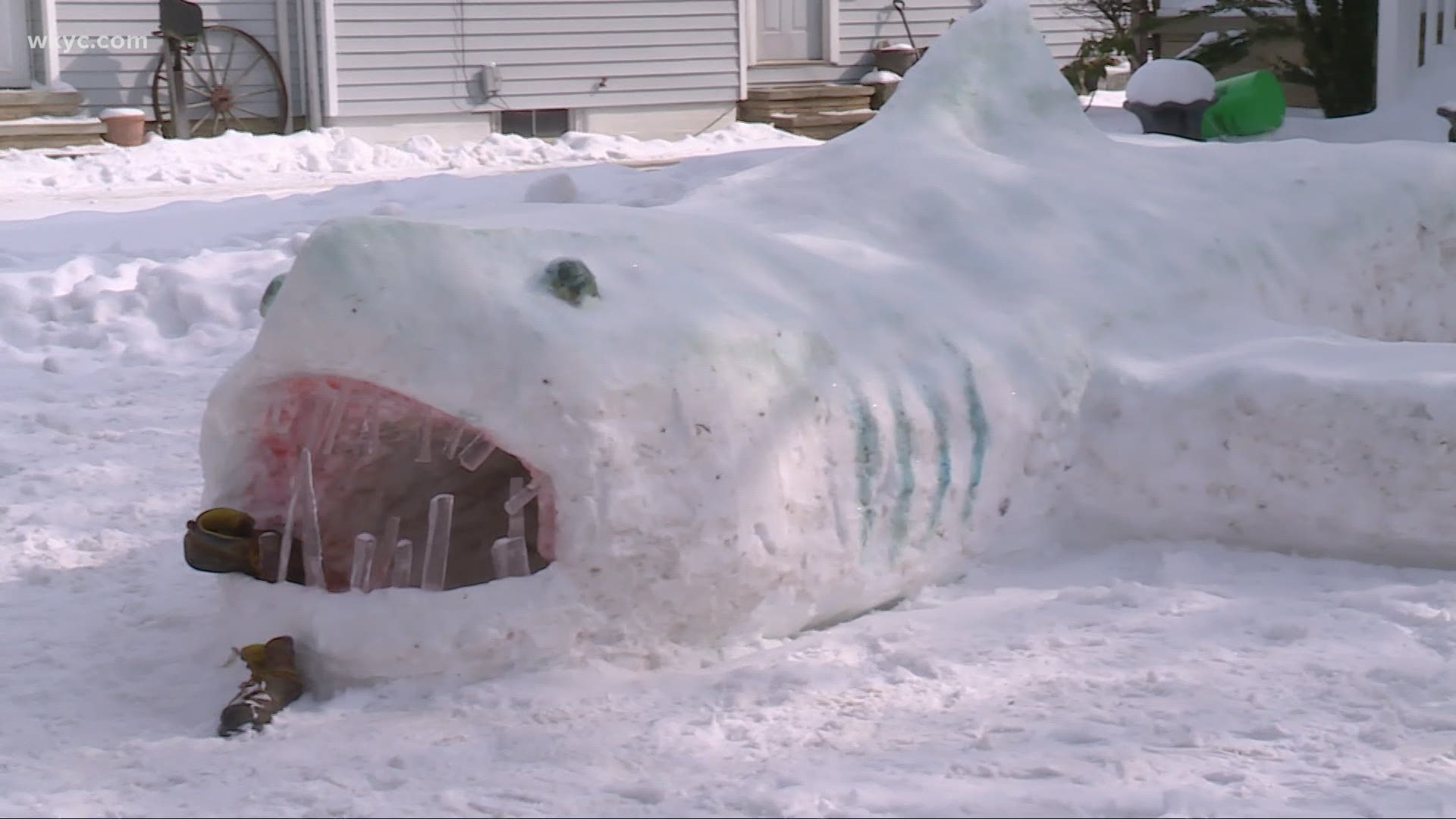 The "Jaws" lookalike was spotted guarding East Bridge Street in Berea. 3News spoke with one of the kids who helped create him!