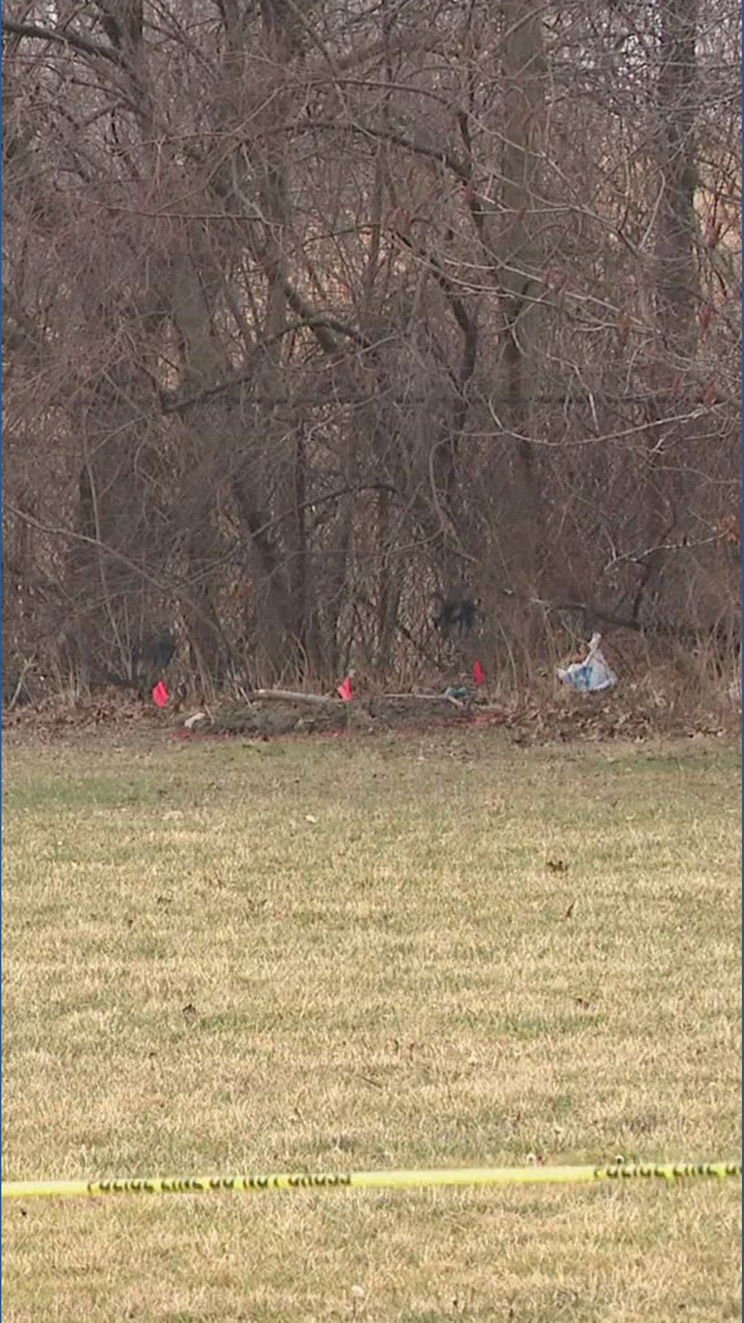 Cleveland police: Mother charged with aggravated murder after bodies of ...