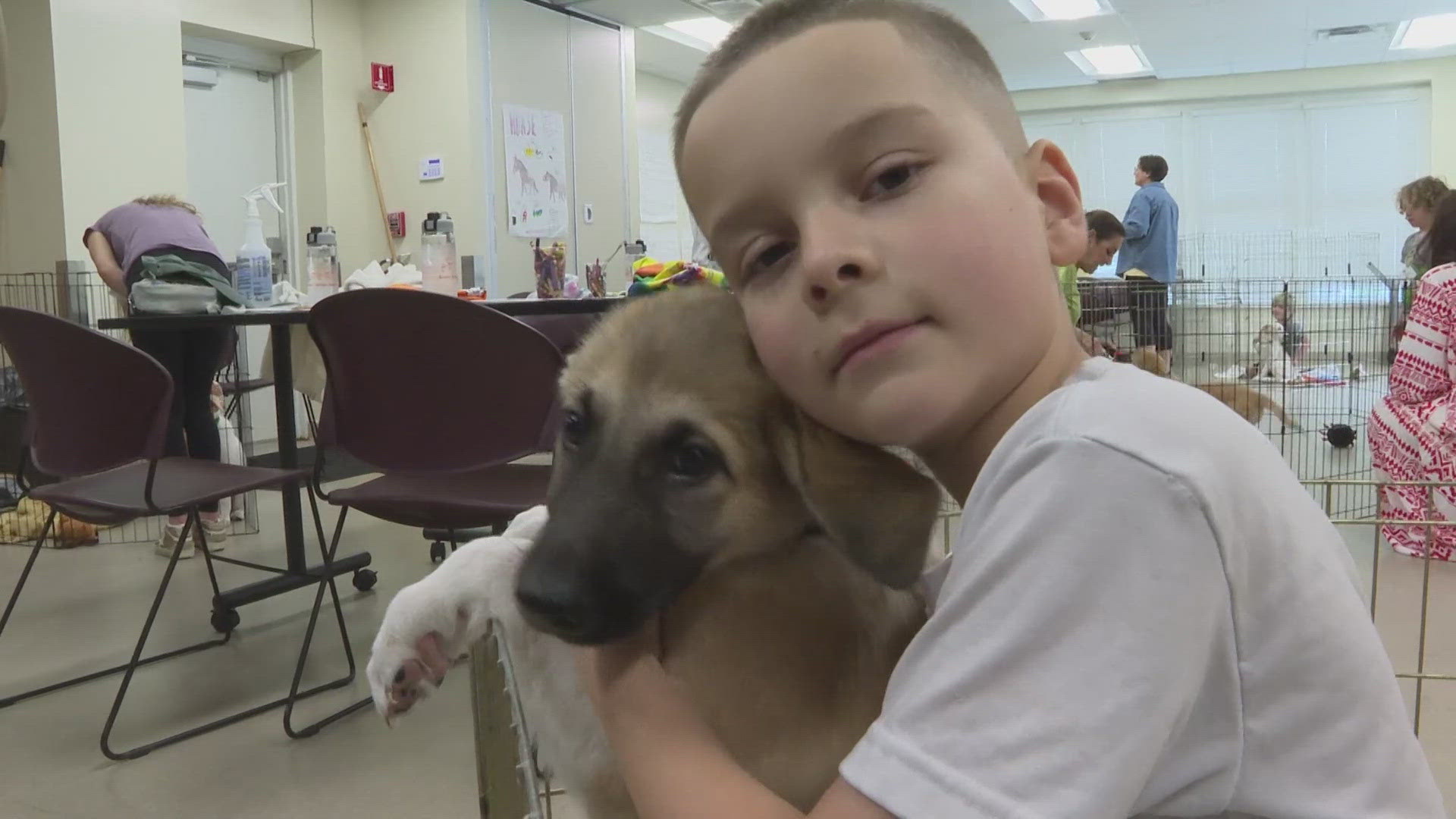 For just one week out of the year, puppy adoptions at Rescue Village are put on pause so they can play an important role at a camp for children.