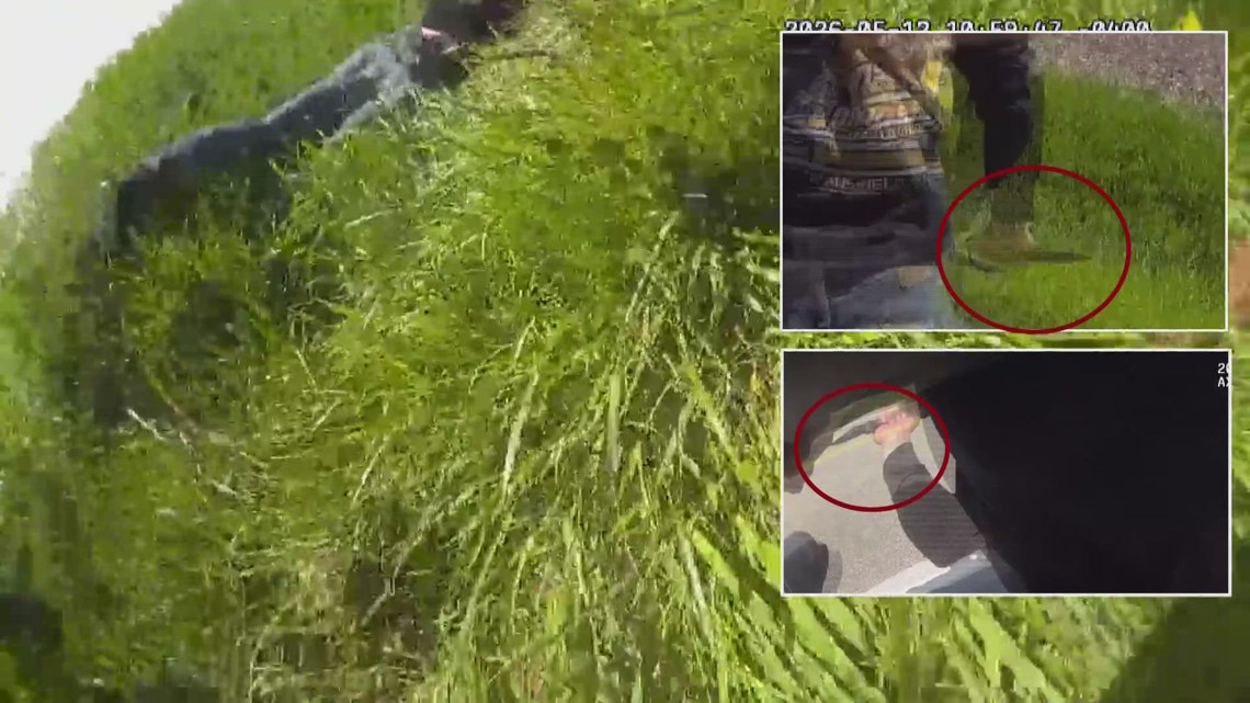 Body camera video shows moment Wayne County sheriff, sergeant were stabbed during confrontation