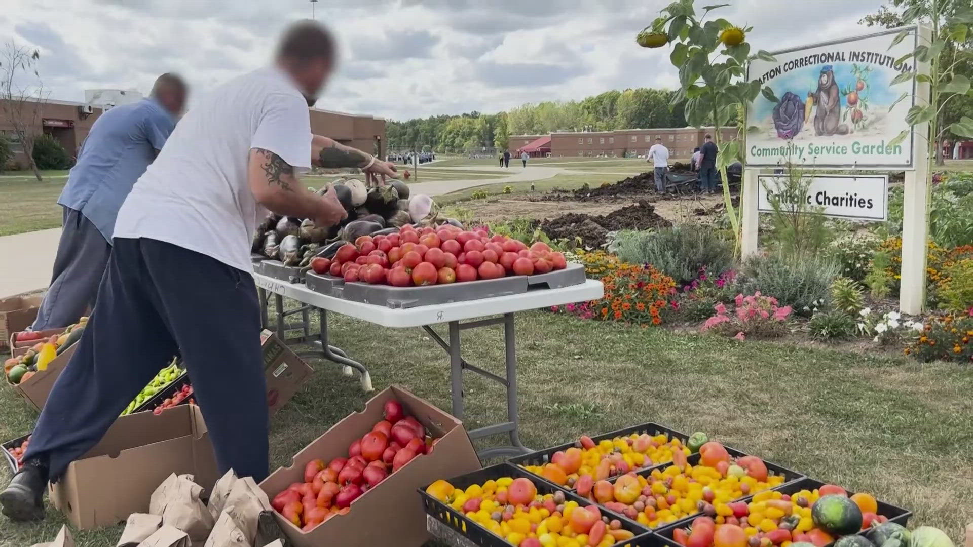 Inmates at Grafton Correctional Institution grew, harvested and donated 20,000 pounds of produce this year.