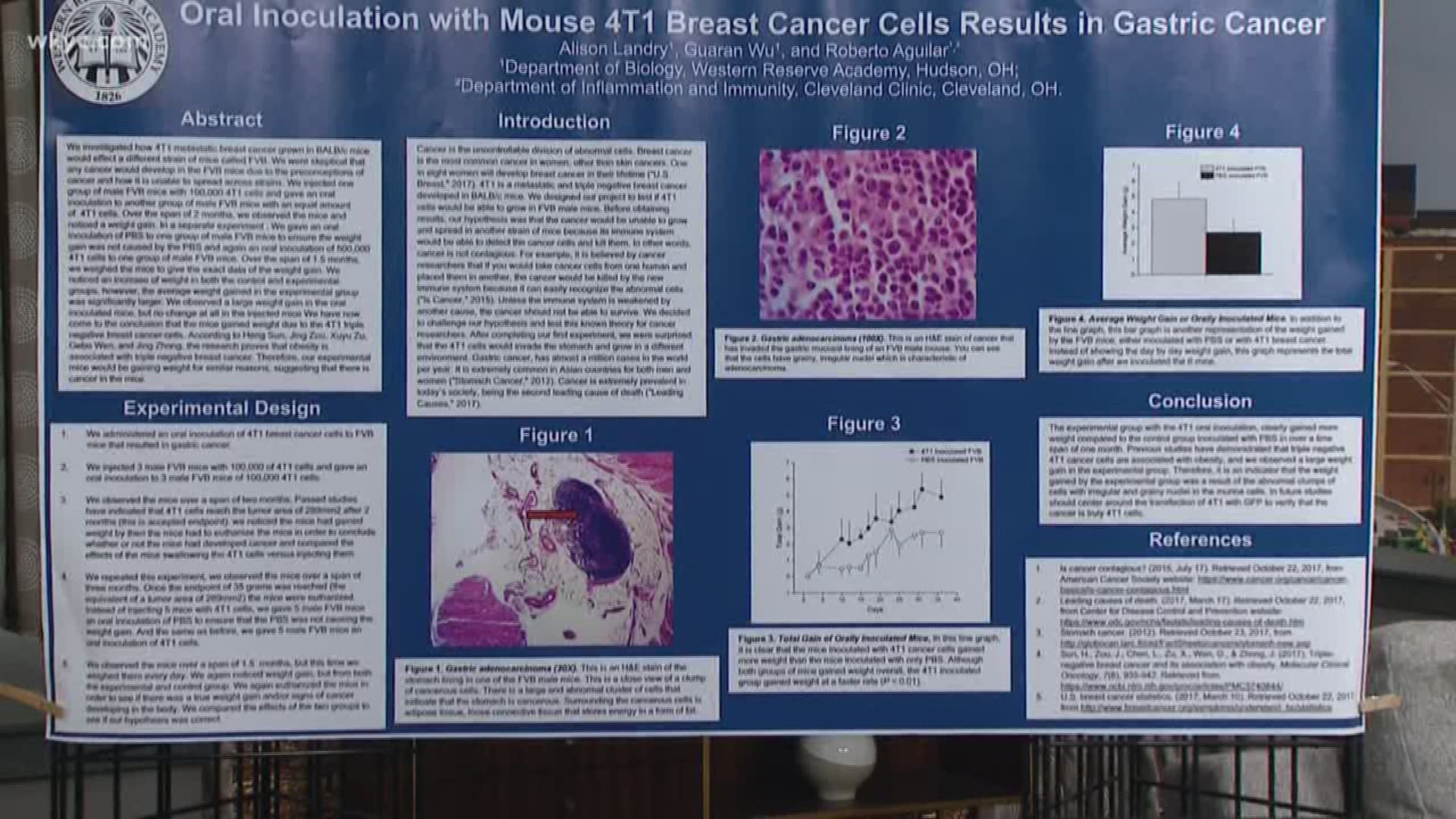 Girls in STEM: Young STEMbassador doing breast cancer research