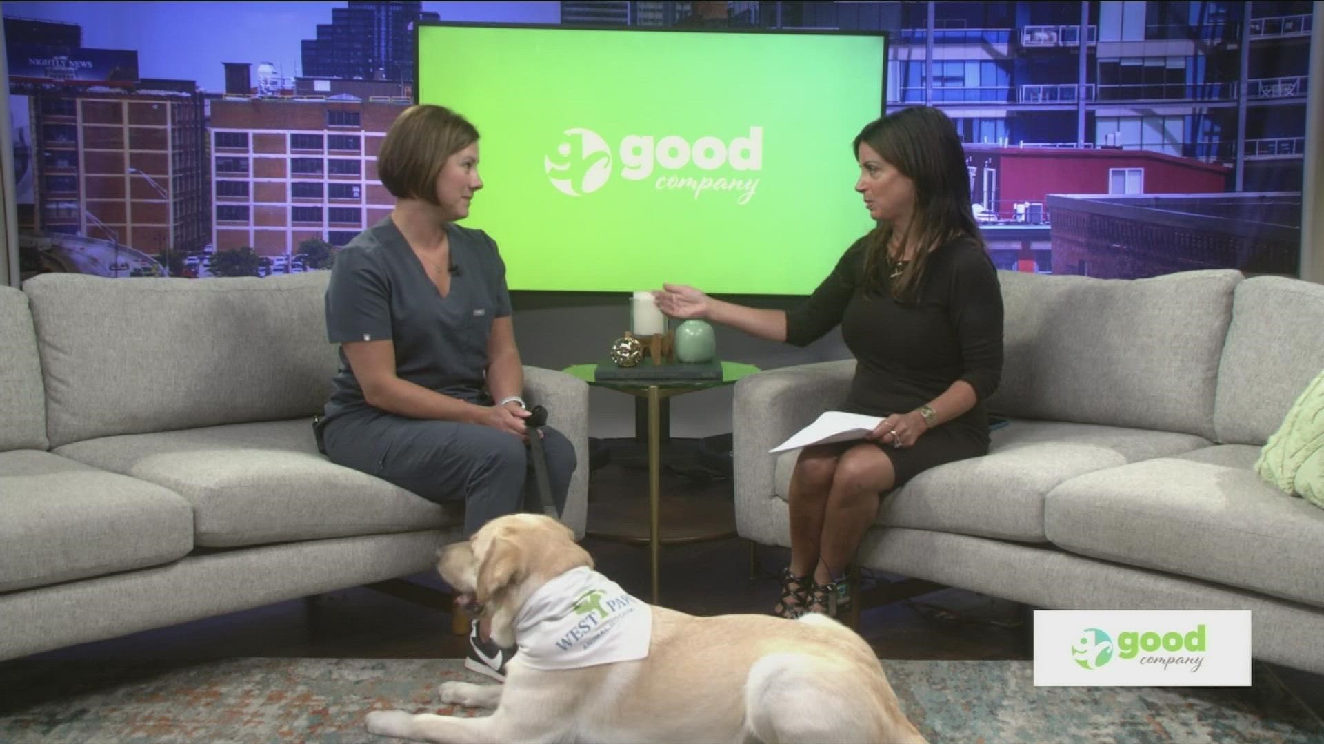 Dr. Megan Culler from West Park Animal Hospital talks about vaccinations for your furry family members.