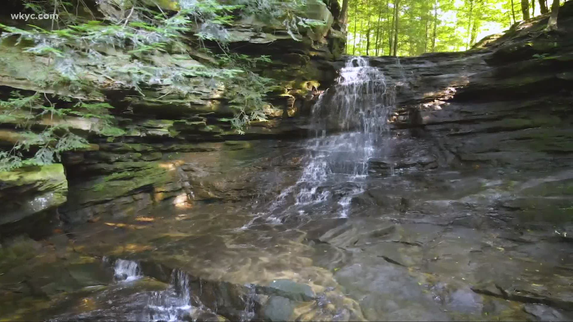 Honey Run Falls is the latest destination in our 'GO-HIO' series with 3News' Matt Standridge. It's the perfect place to take a swim.
