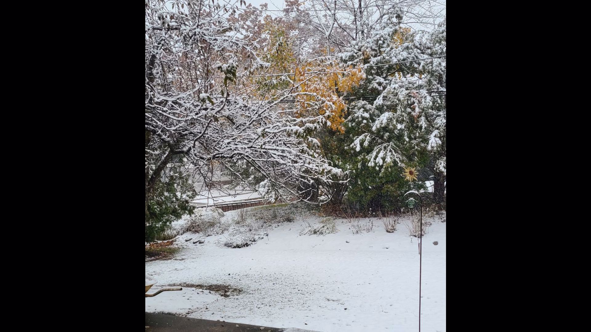 PHOTOS: Viewer pics from the first snow of the season! | wkyc.com