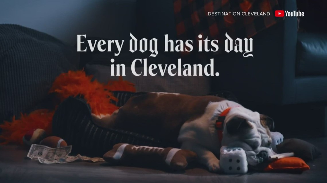 Destination Cleveland releases Puppy Bowl ad - Vimarsana News