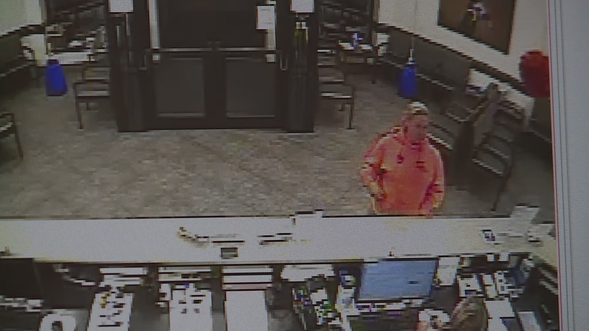 Surveillance video from VCA Great Lakes showed this woman at the counter. It is believed she was the person who later dumped seven cats behind the hospital.