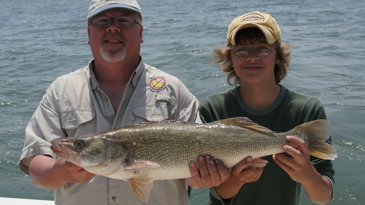 Experts Puzzled By Boom In Lake Erie Walleye Population Wkyc Com