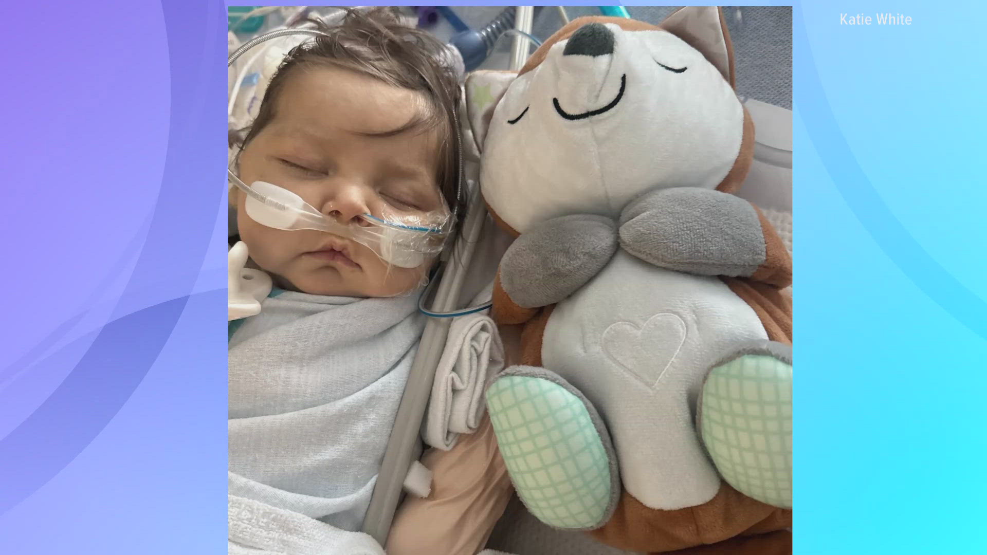 3News' Monica Robins shares the heartwarming story of how a complete stranger provided a lifeline for a 3-month-old in need of a liver transplant.