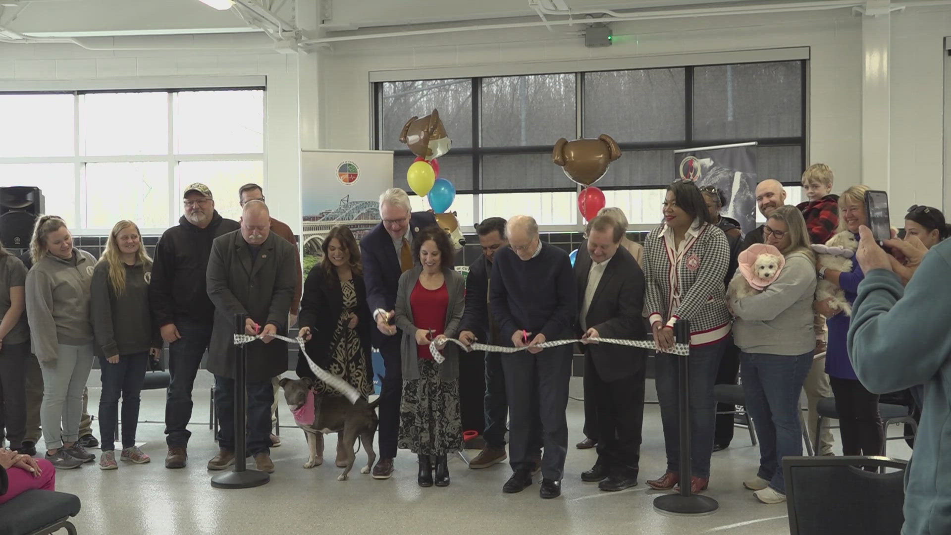 The expanded Cuyahoga County Animal Shelter gives dogs more space to play and includes training and meeting spaces.