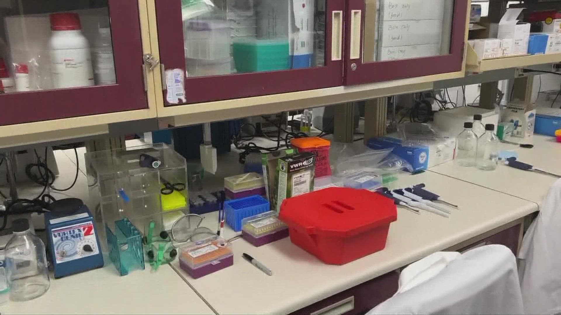Inside a Cancer Research Lab