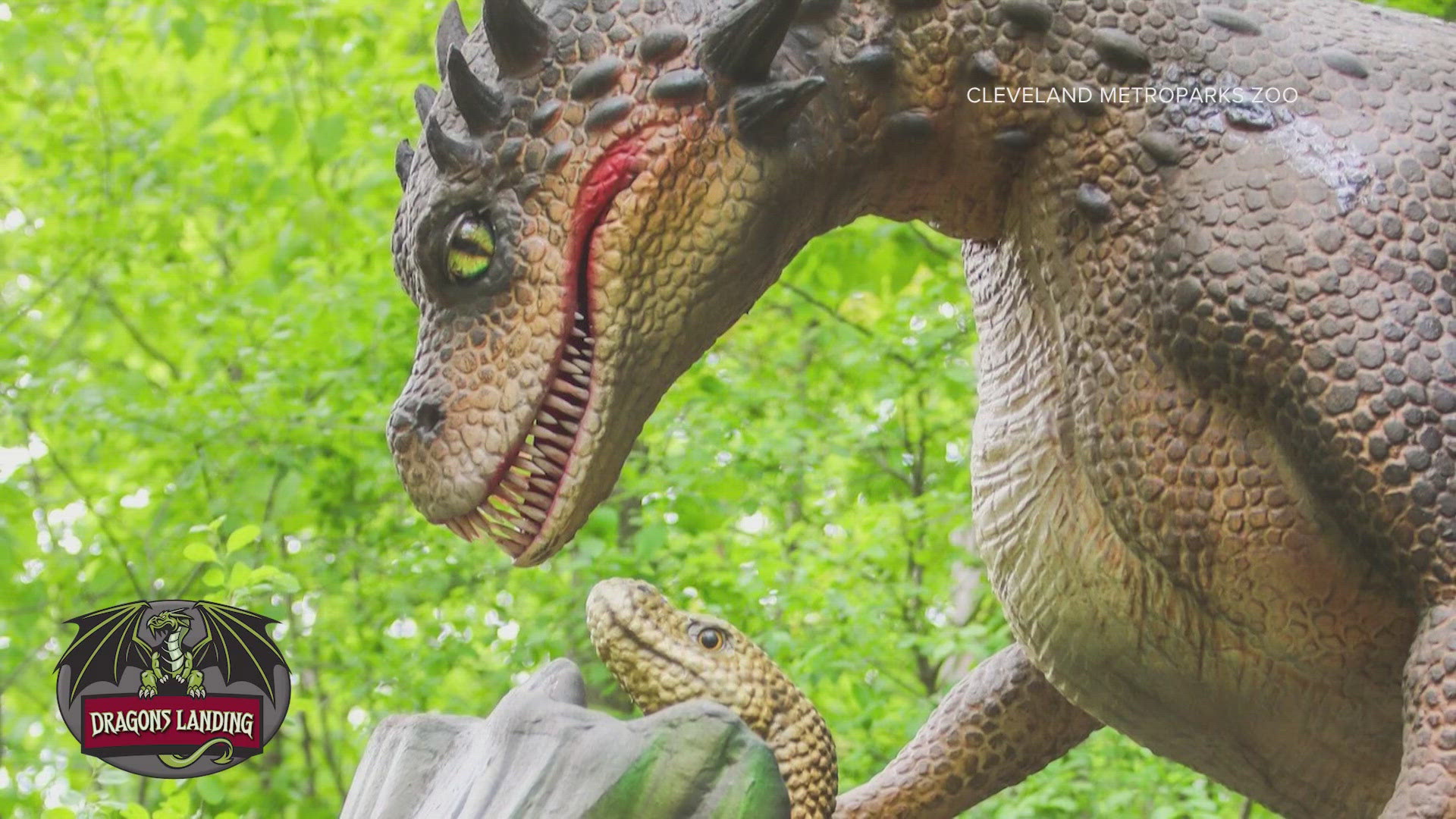 The Cleveland Metroparks Zoo has announced the arrival of nearly two dozen animatronic dragons that are set to debut at the park next month!