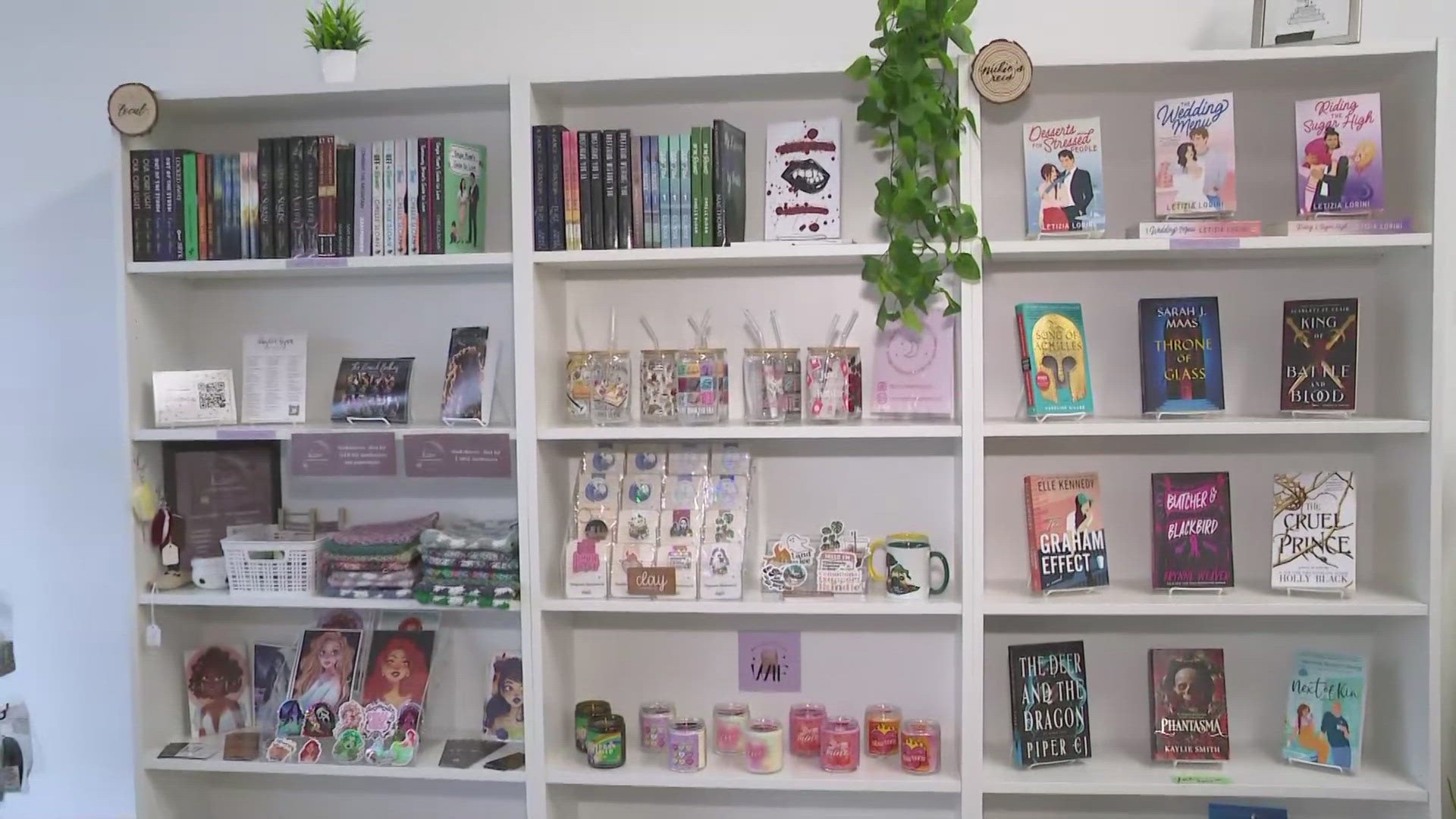 Flame & Fable is a small, independent bookshop in Lakewood, OH.