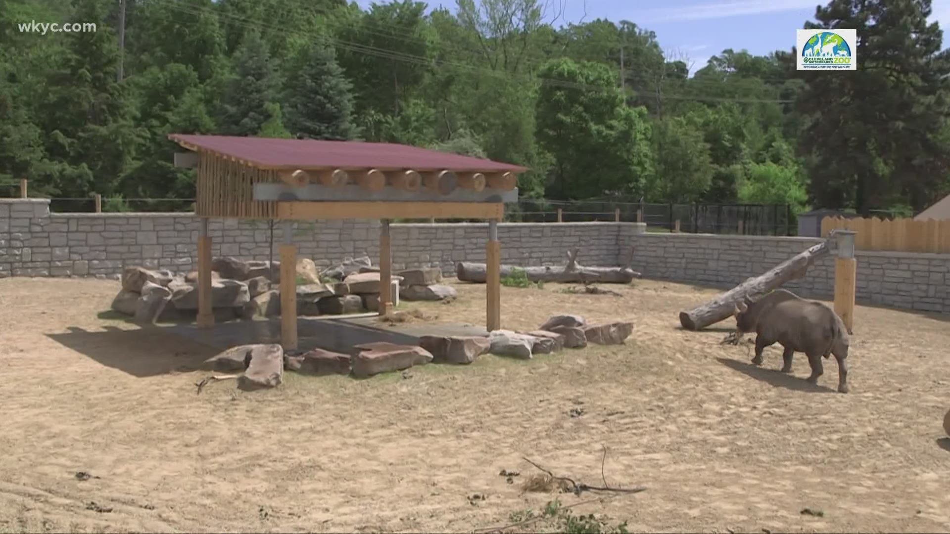 Cleveland Metroparks Zoo To Open Dinosaurs Around The World The