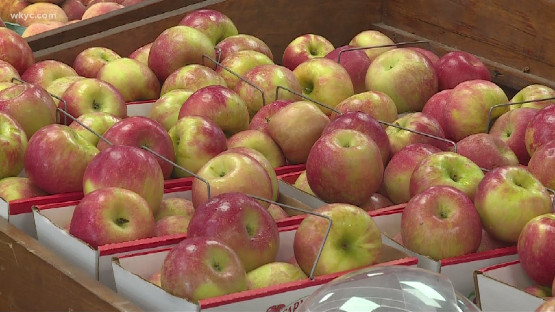 Verify Has Northeast Ohio S Honeycrisp Apple Crop Been Ruined By Summer Weather Wkyc Com