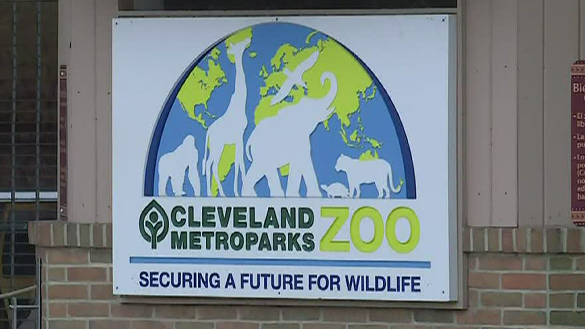 The Cleveland Metroparks Zoo has been closed for six weeks and they are also adapting to the new normal.The animals are being well taken care of.