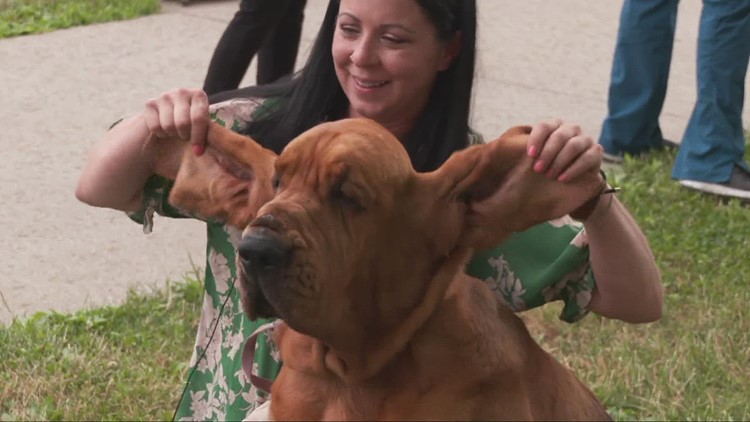 Best in Show winner visits MetroHealth’s main campus in Cleveland