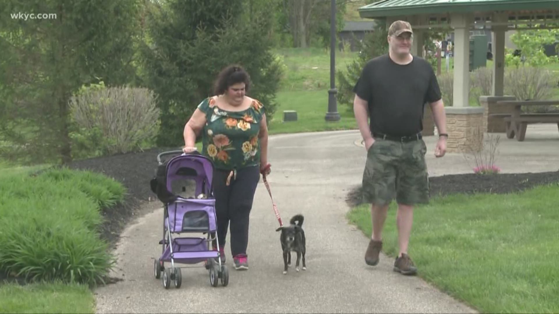 May 29, 2019: A service dog is not a pet. Unfortunately, some people might confuse the two. Melissa Moyers has firsthand experience with the danger of this misconception since her service dog Angela has been in her life for years.