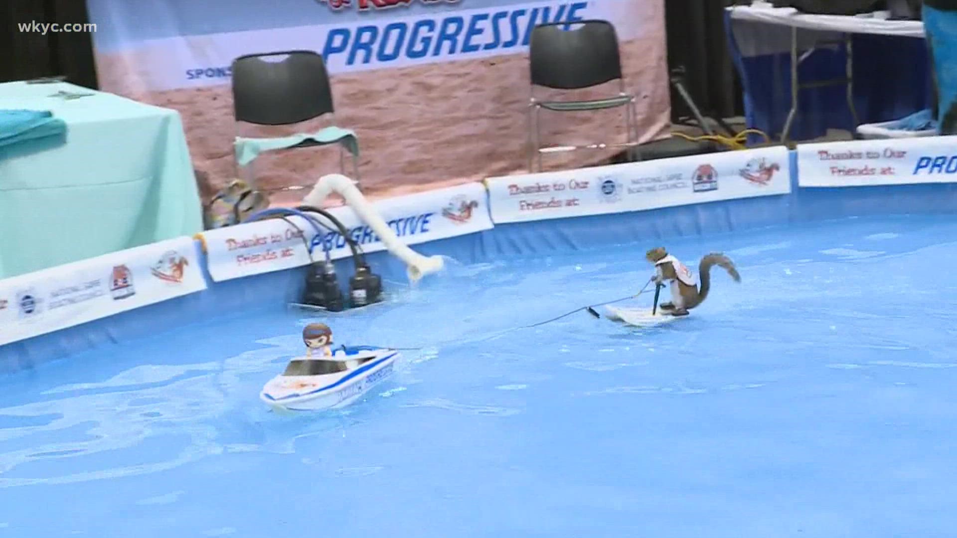 Cleveland Boat Show features Twiggy the Waterskiing Squirrel