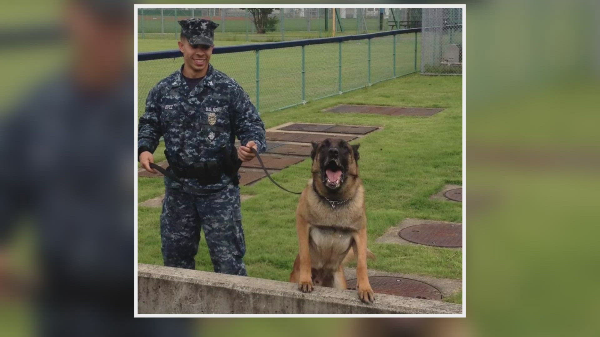 Now the owner of Dog Training Elite in Cleveland, Navy veteran Josh Lopez is giving back to other veterans by training them to become trainers themselves.