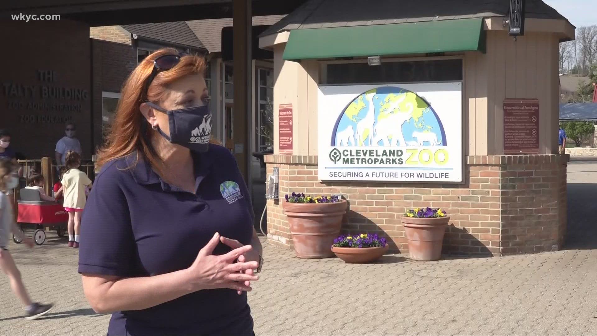 Did you know April 8 is National Zoo Lover's Day? Many haven't been able to visit due to the pandemic, so Mike Polk Jr. visited the animals to see how they're doing.