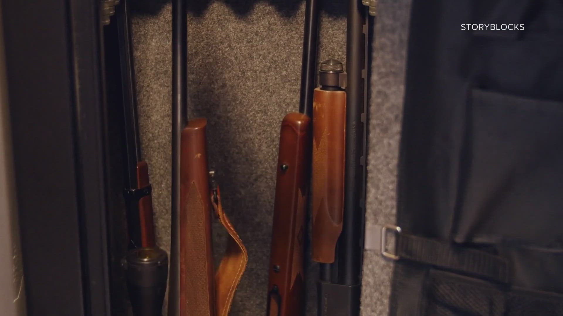 Two new laws deal with self-defense, prohibiting financial disincentives, and banning the tracking of firearm purchases.