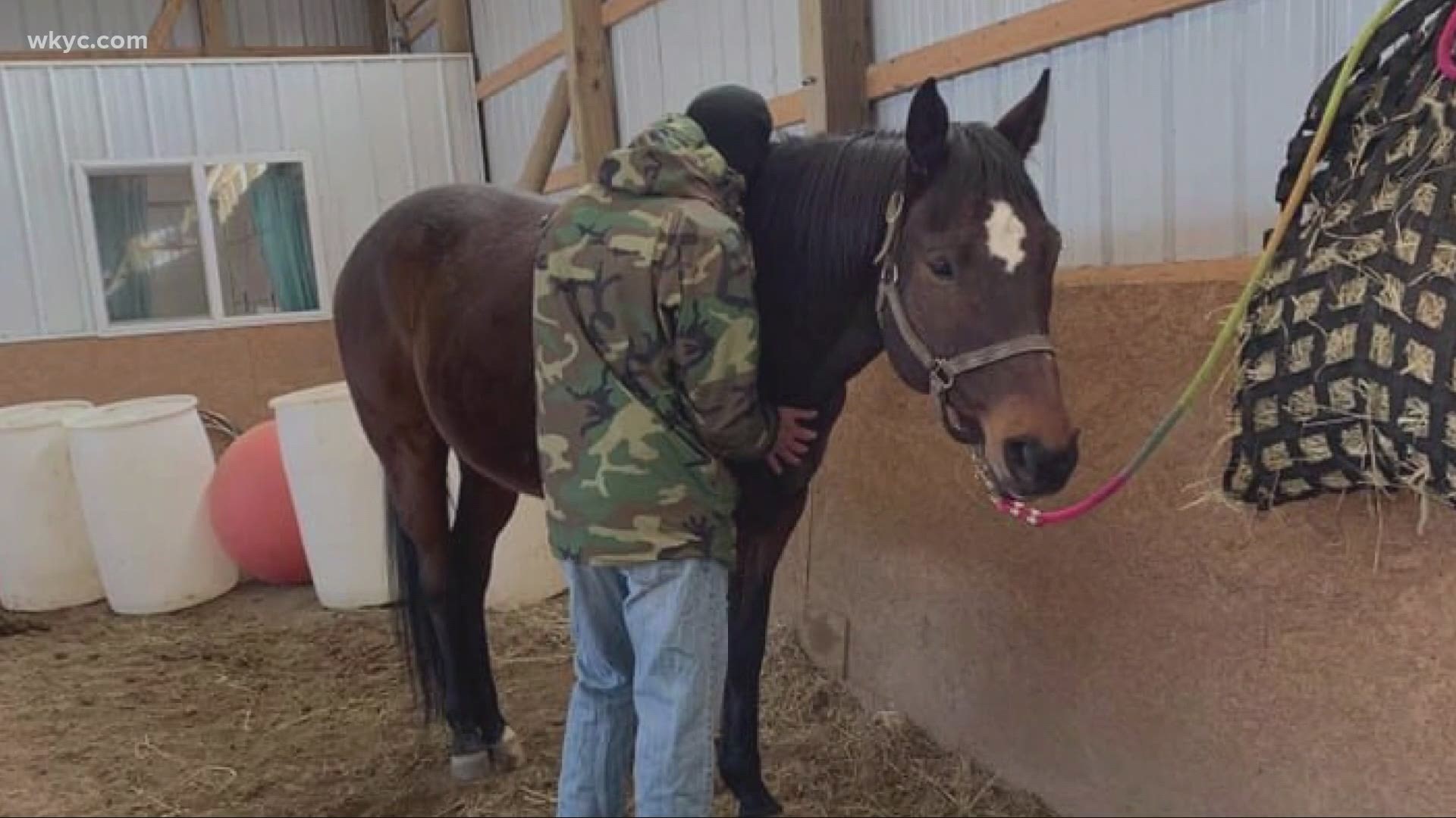 Michele Bolinger had a calling to rescue horses left behind. Without her, they never would be. Lindsay Buckingham reports.