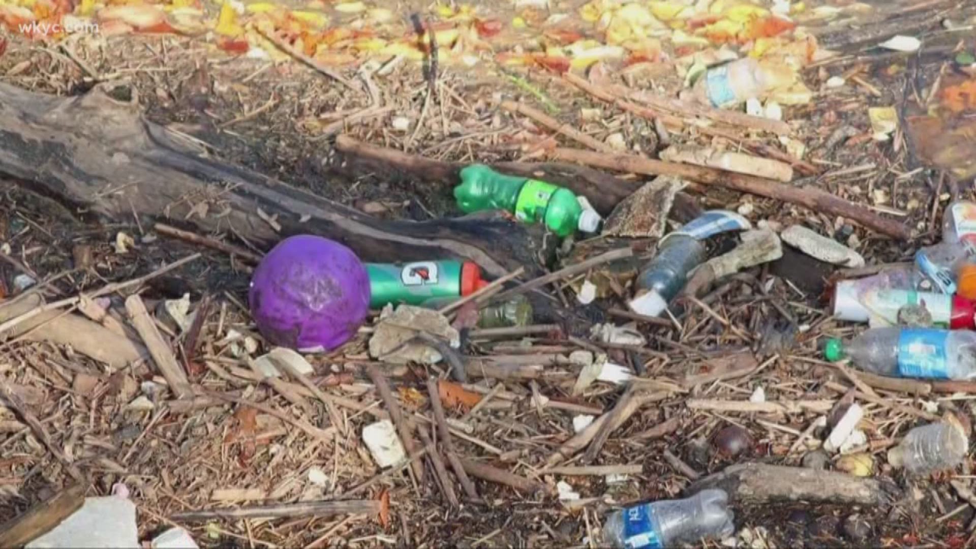 Cleveland ranks above average for plastic trash in the lake. Dorsena Drakeford reports.